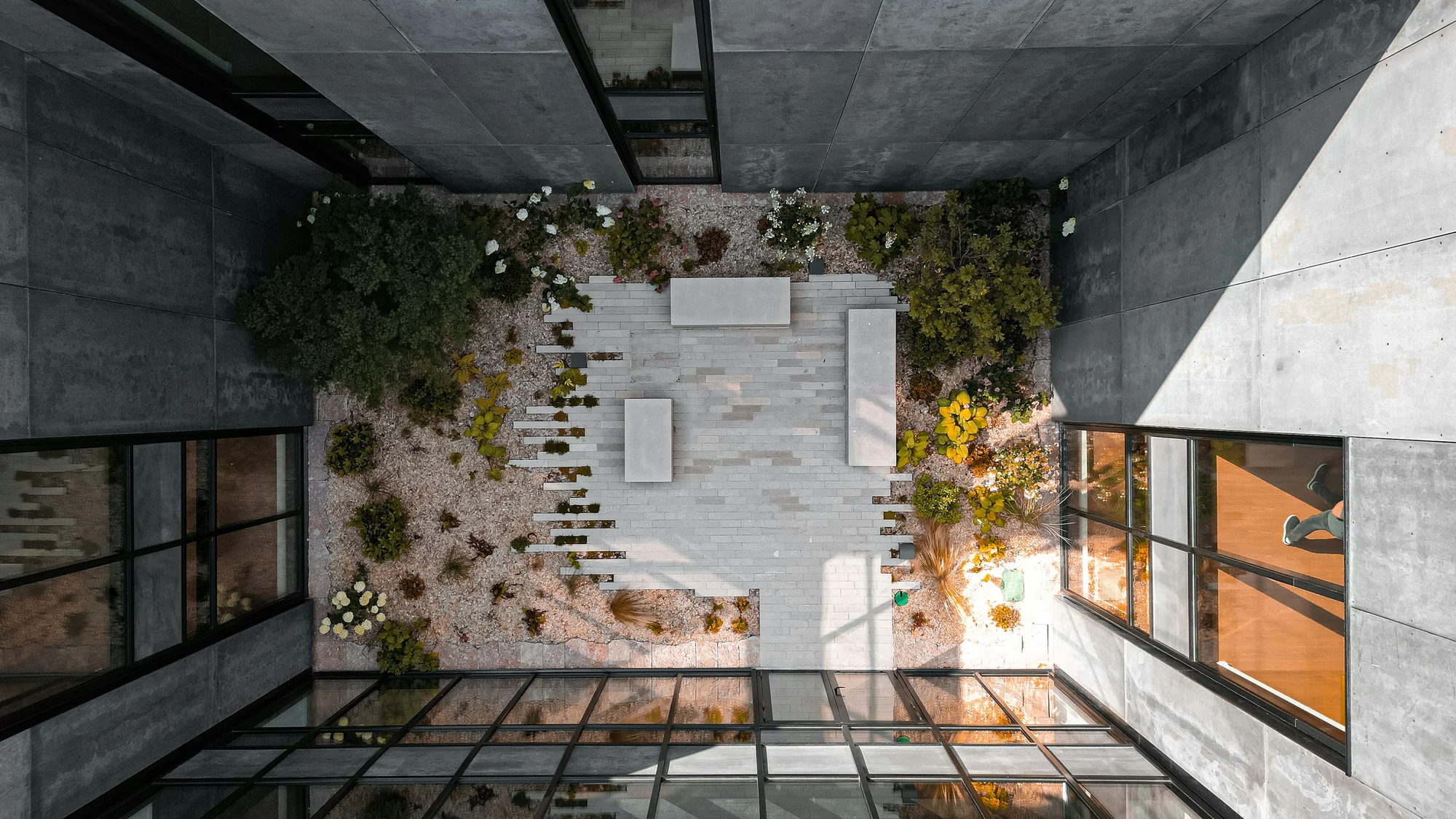 A quiet concrete courtyard with plants and long geometric shadows